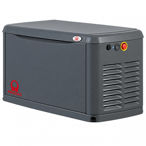 Газовый генератор PRAMAC G0072330, 8 кВт, 220 В